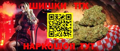крисы Камышлов