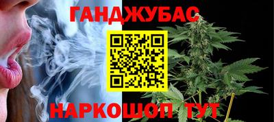крисы Камышлов