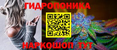 крисы Камышлов