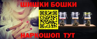 крисы Камышлов