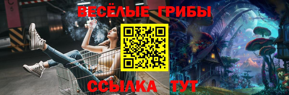 Красноярск  Псилоцибиновые грибы Psilocybe  Галлюциногенные грибы MAGIC MUSHROOMS  Вход с VPN 
